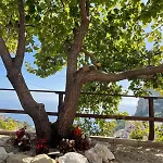 Casa Adele Pogerola * Amalfi